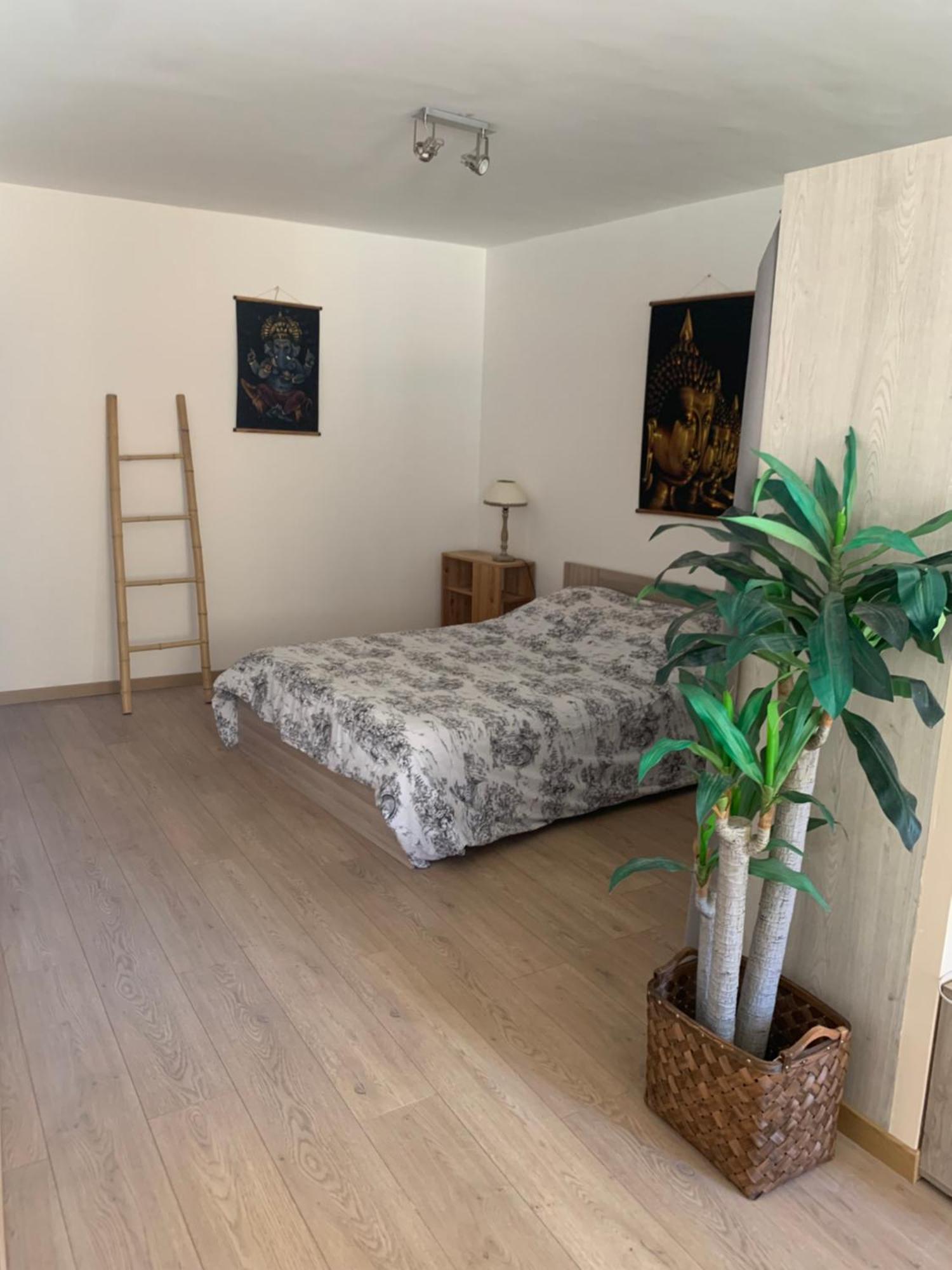 Dans Le Centre Medieval Appartement